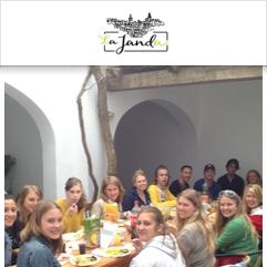 Colegio de Español La Janda, Vejer de la Frontera