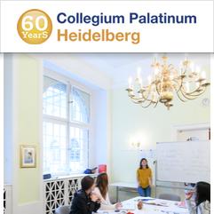 Collegium Palatinum