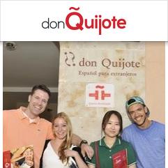 Don Quijote, Salamanque