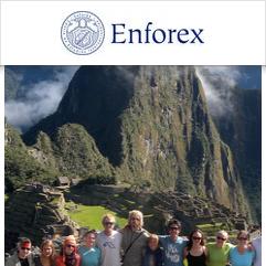 Enforex, กุสโก (Cuzco)