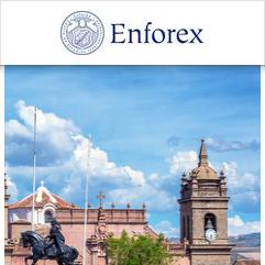 Enforex