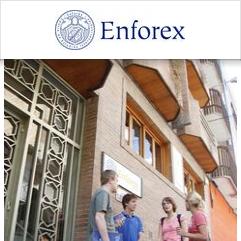 Enforex