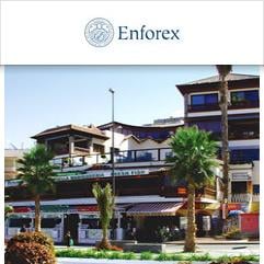 Enforex, Puerto de la Cruz