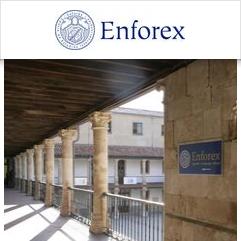 Enforex