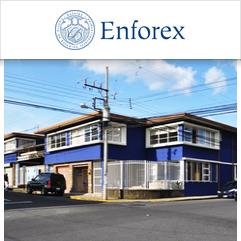 Enforex