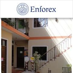 Enforex
