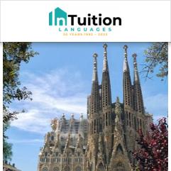 InTuition, Barselona