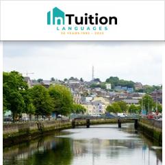 InTuition, Cork 