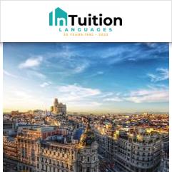 InTuition, Madrid