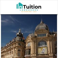 InTuition, Montpellier