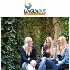 Linguadue