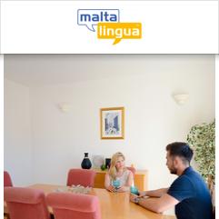 Maltalingua School of English