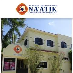 Na'atik Language & Cultural Institute, 费利佩 卡里略 波多