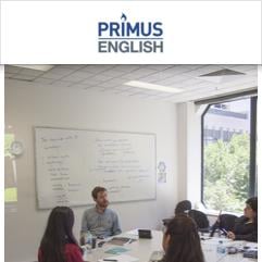 Primus English, Мельбурн
