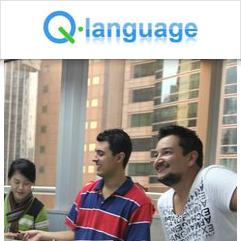 Q Language