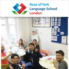 English Summer School for Kids in London, SKOLA