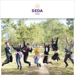 SEDA Summer School, Голуэй