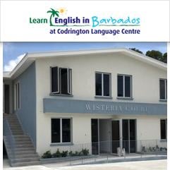 The Codrington Language Centre, Christ Church