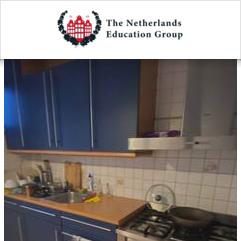 The Netherlands Education Group