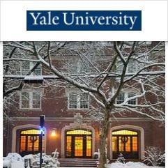 Yale University Center for Language Study 