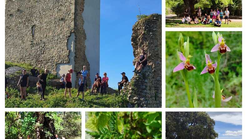 التنزه لمسافات طويلة