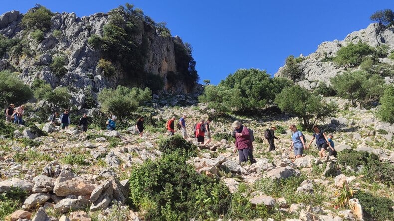 التنزه لمسافات طويلة