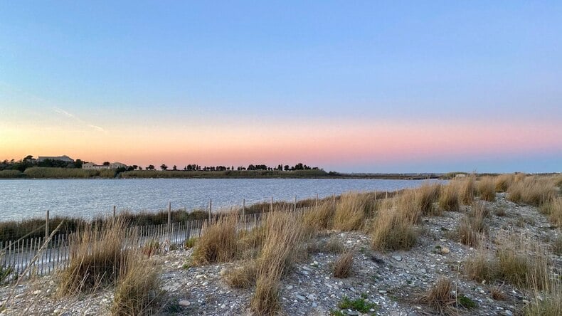 مشاهدة مونبلييه