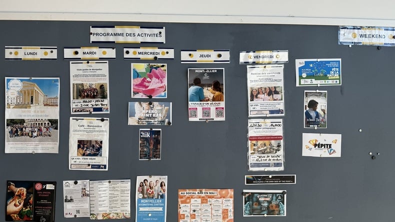 البرنامج الاجتماعي