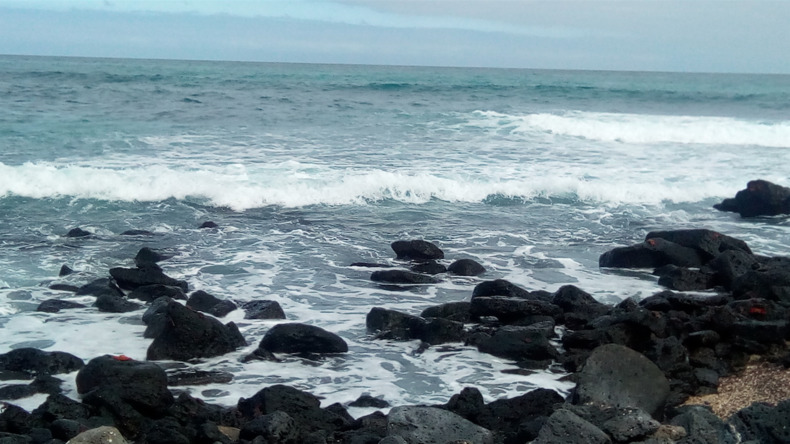 加拉帕戈斯群岛