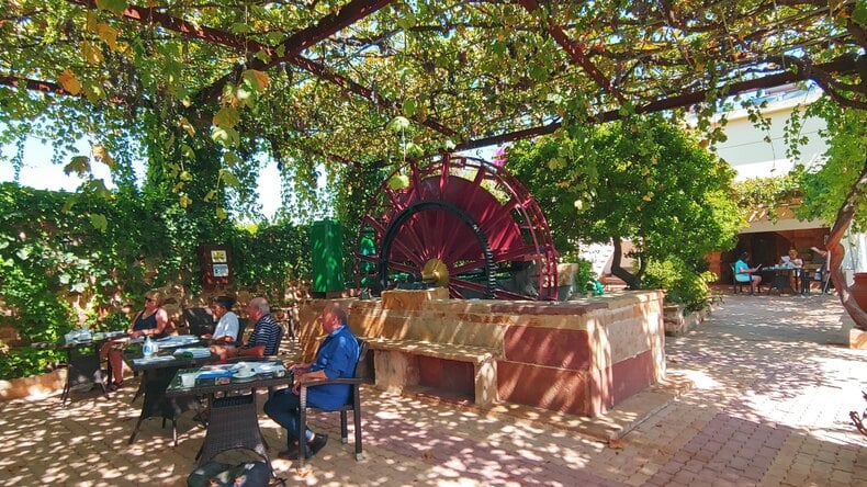 The garden where the lessons take place
