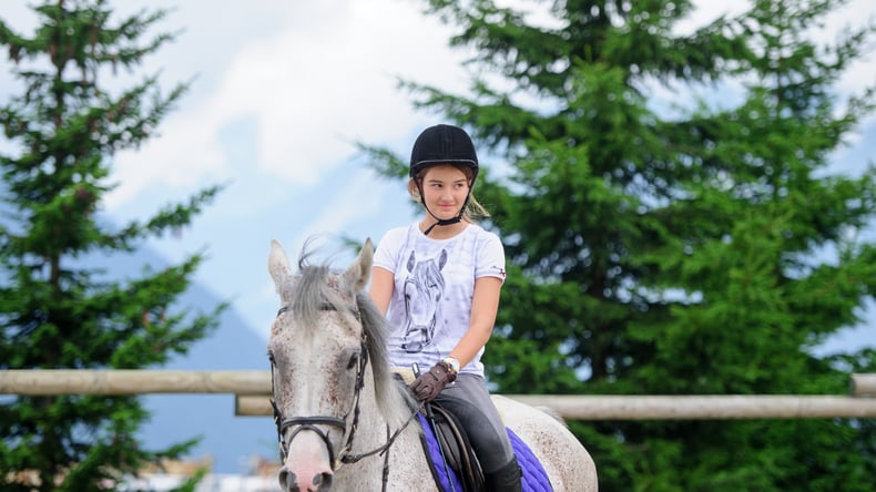 Équitation