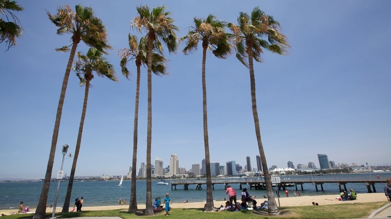 San Diego bomen