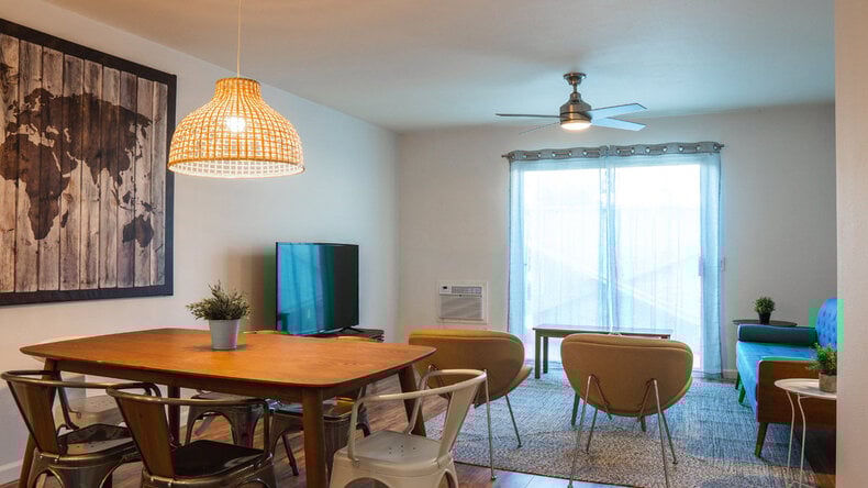 Shared Apartment