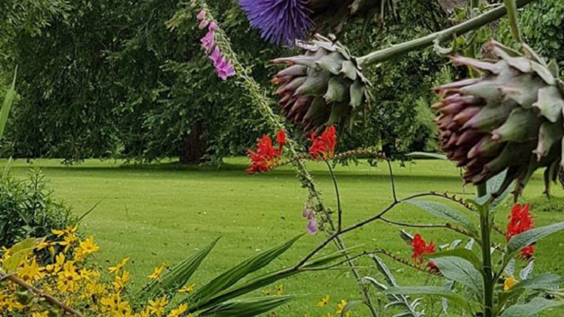 블라니 캐슬 가든Blarney Castle Gardens)