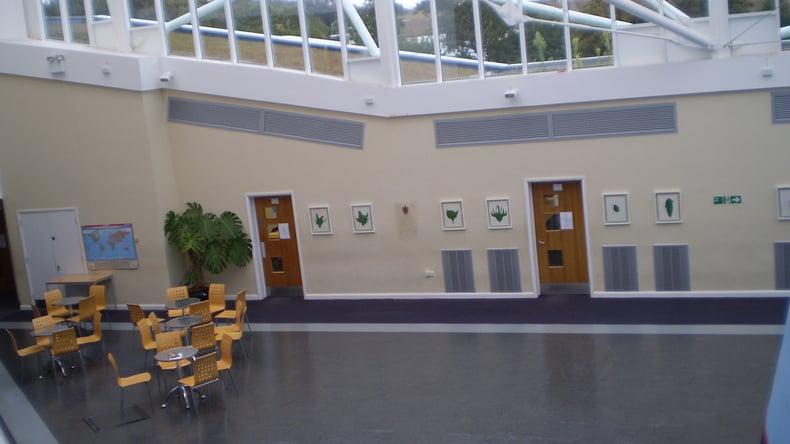 المنطقة المشتركة