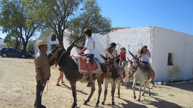 在Vejer de la Frontera骑马