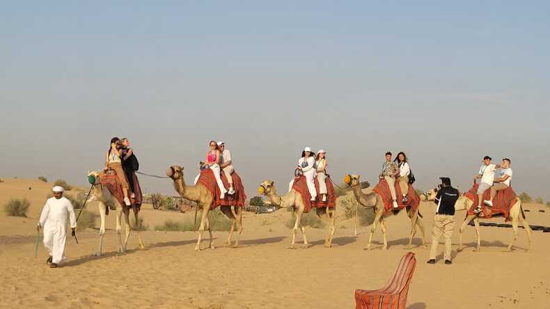 Camel ride