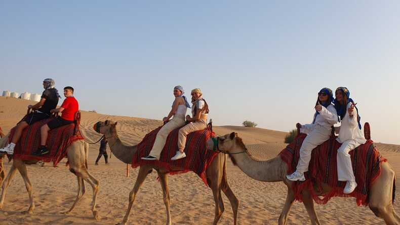 Riding camels in the desert