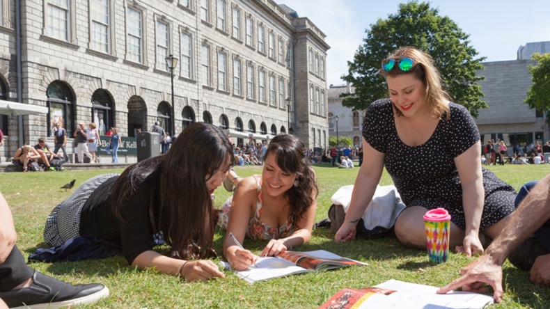 Alunos estudando no jardim