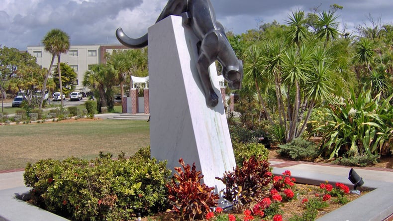 佛罗里达理工学院（Florida Tech）黑豹队