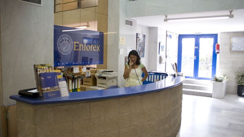Enforex Alicante recepció