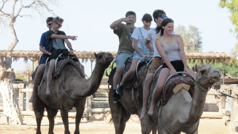 Camelback riding
