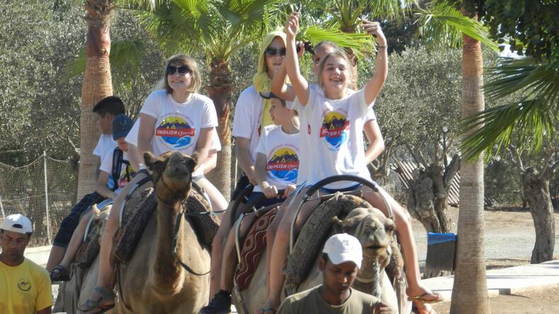 Camel ride