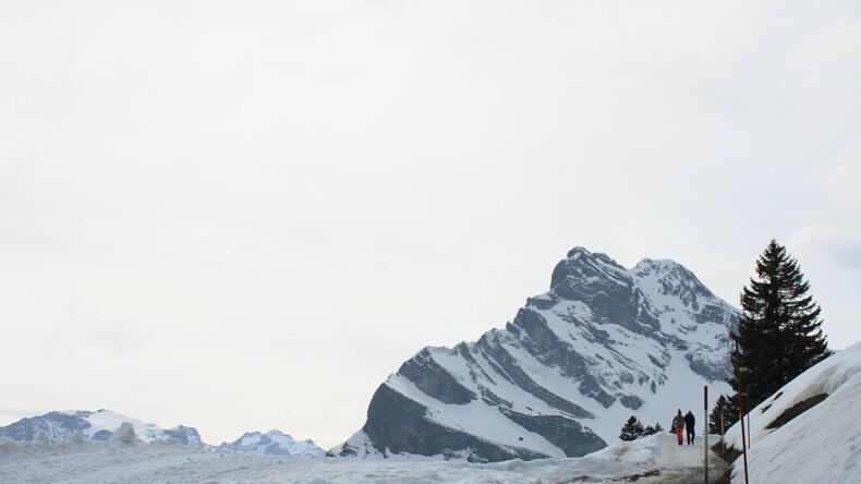Mountains