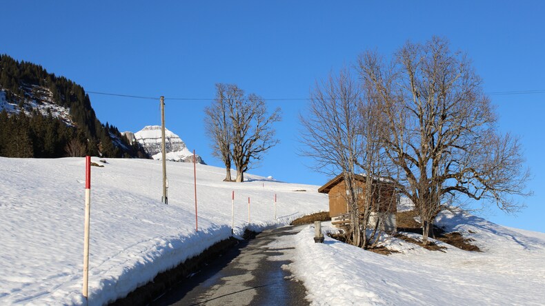 Snowing 