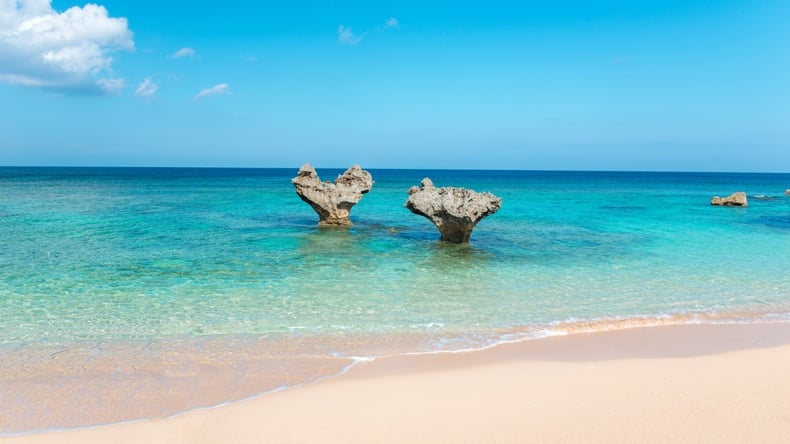 海