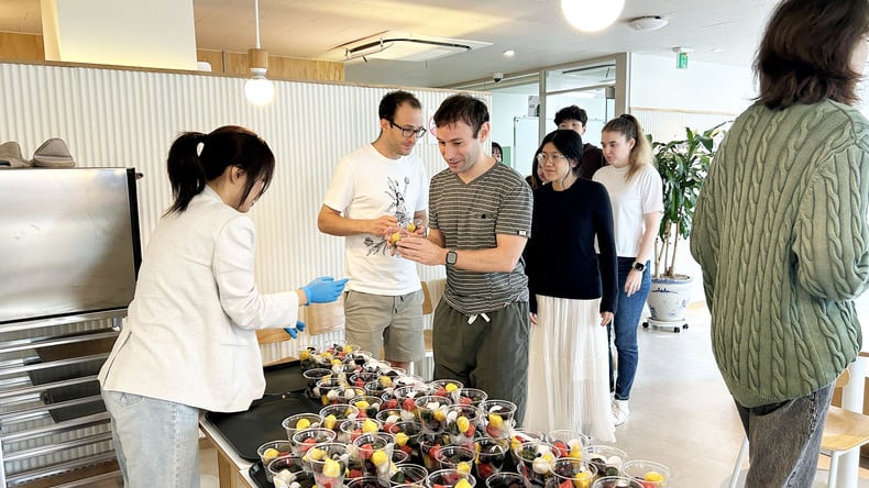 Comendo Songpyeon no Chuseok