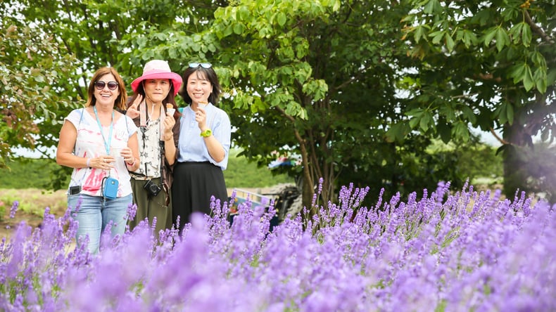 الرحلات في سابورو