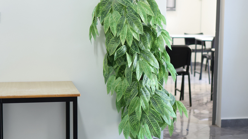 Iskolai létesítmények