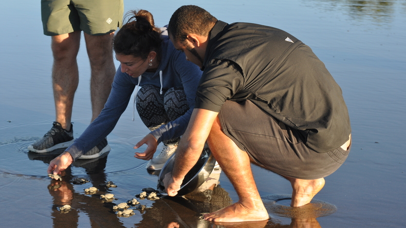 Godersi la spiaggia in Samara